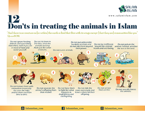 Infographic: 12 Don'ts in Treating the Animals in Islam