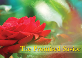 The Promised Savior clip-Imam Mahdi