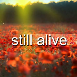 still-alive-300.jpg